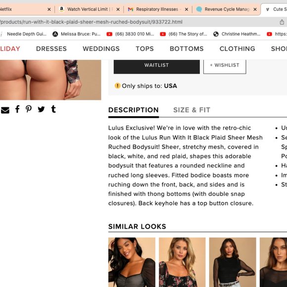 Lulu's Bodysuit Sheer top - Picture 3 of 3